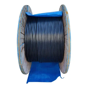 SHANGSHANGCABLE/上上电缆 铜芯交联聚乙烯绝缘聚氯乙烯护套电力电缆 YJV-0.6/1kV-3×2.5 护套黑色 1米