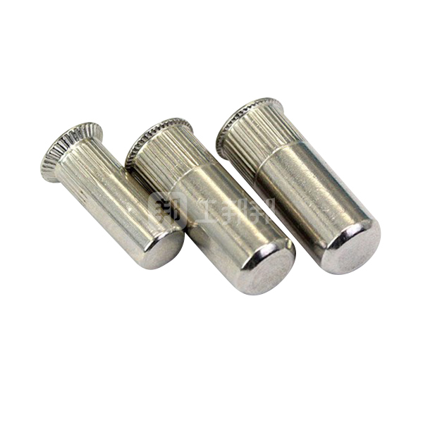 zkh震坤行大沉头竖条纹盲孔铆螺母304本色m12381盒