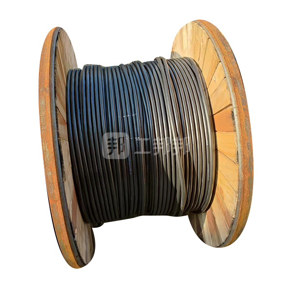 qifan起帆铜芯氟塑料绝缘聚氯乙烯护套电力电缆fv061kv325216护套黑色